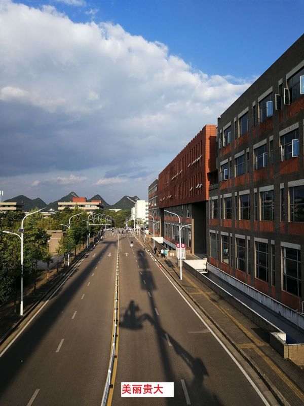 貴州某高校為本校區(qū)內(nèi)600多盞路燈更換LED燈頭及加裝太陽(yáng)能LORA調(diào)光控制模塊，達(dá)到了節(jié)能和智能控制的目的。